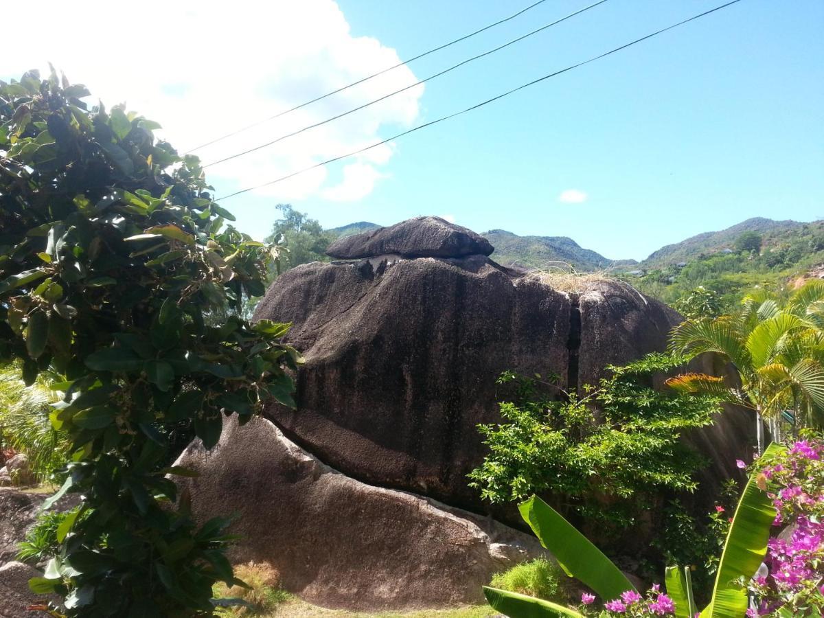 Appartamento Jardin Marron Baie Sainte Anne Esterno foto
