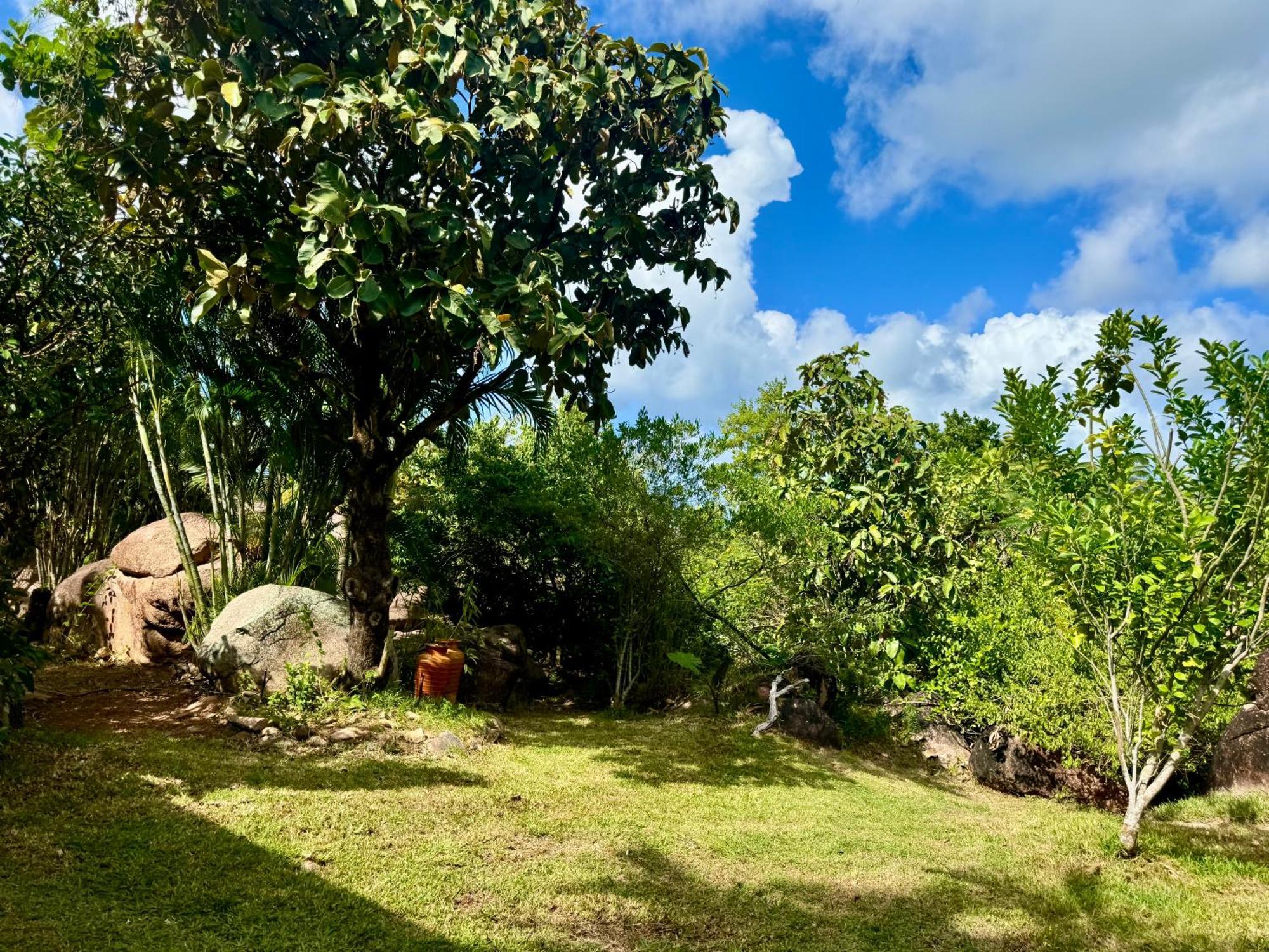 Appartamento Jardin Marron Baie Sainte Anne Esterno foto