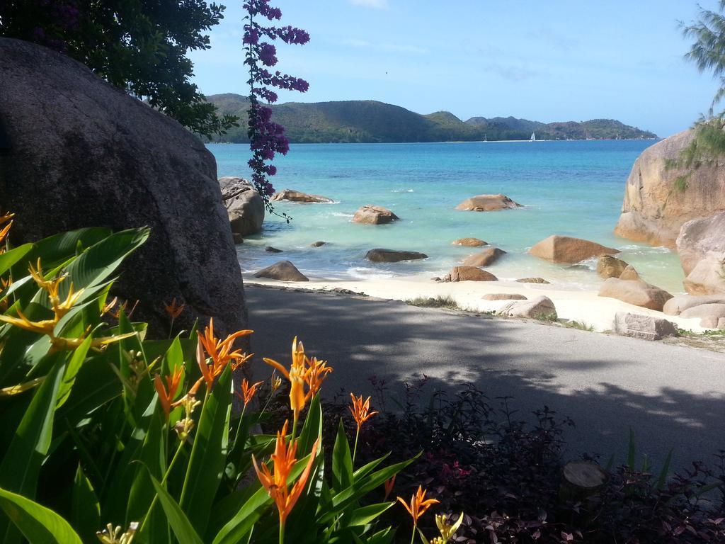 Appartamento Jardin Marron Baie Sainte Anne Esterno foto