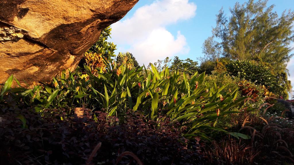 Appartamento Jardin Marron Baie Sainte Anne Esterno foto