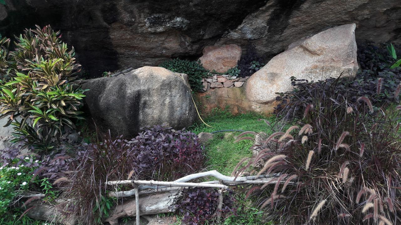 Appartamento Jardin Marron Baie Sainte Anne Esterno foto