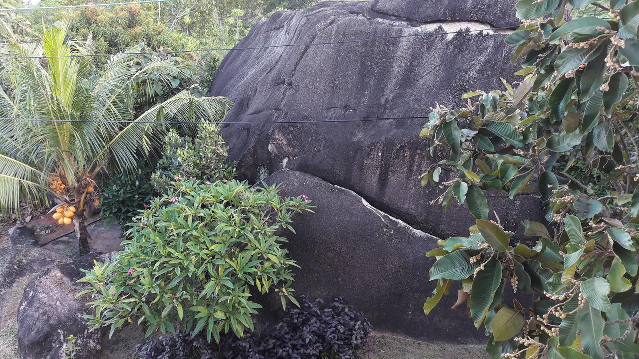 Appartamento Jardin Marron Baie Sainte Anne Esterno foto
